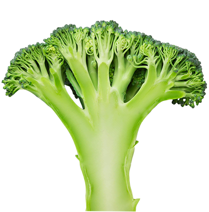 Bróculi
